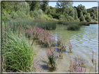 foto Lago di Terlago